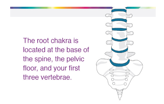 root-chakra