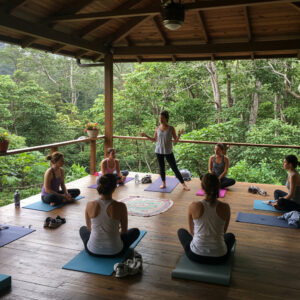 Yoga Teacher Training - RYT 200 - Payment
